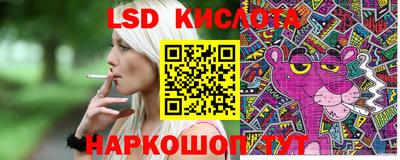 крисы Анапа