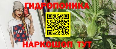 PSILOCYBIN Анжеро-Судженск