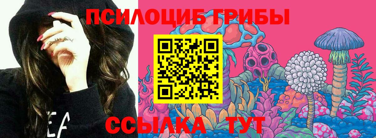 Псилоцибиновые грибы ЛСД Ливны
