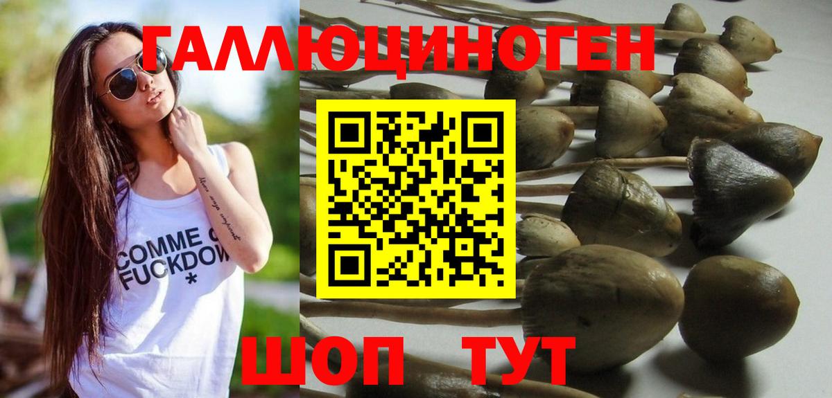 Ливны  Псилоцибиновые грибы GOLDEN TEACHER  Вход с VPN 
